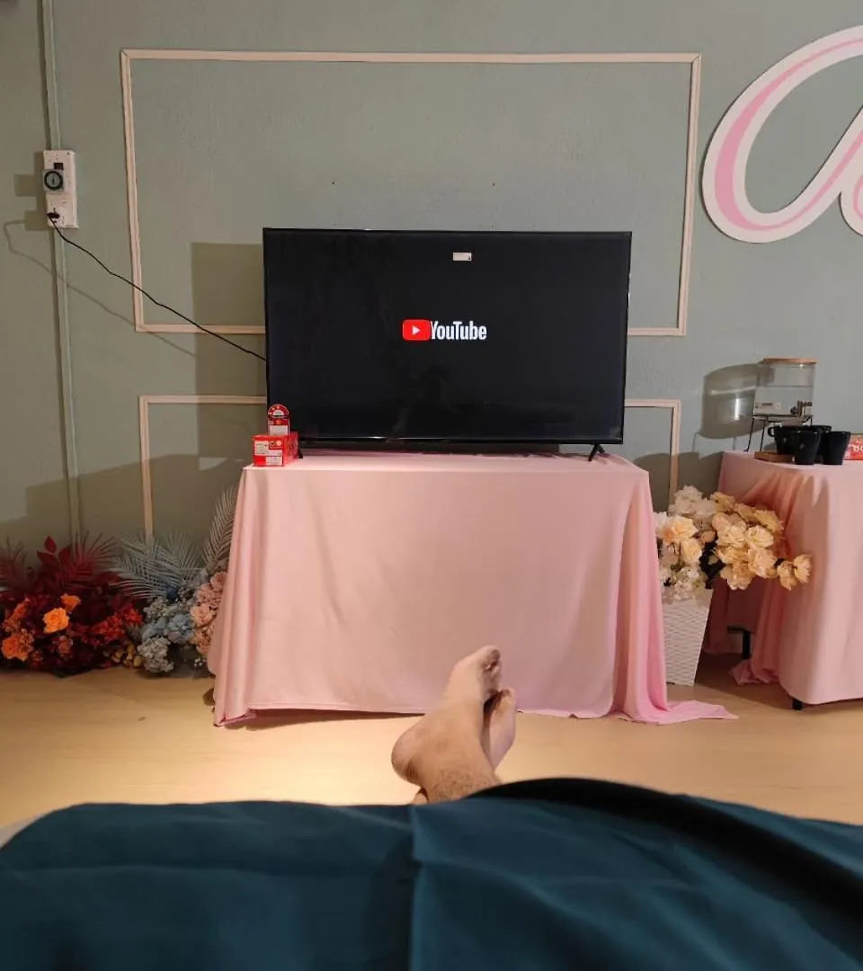 Vandrarhem Georgetown Family Ktv Theme Fun Staycation Up To 6 Pax Netflix Youtube Playstation Jelutong Malaysia